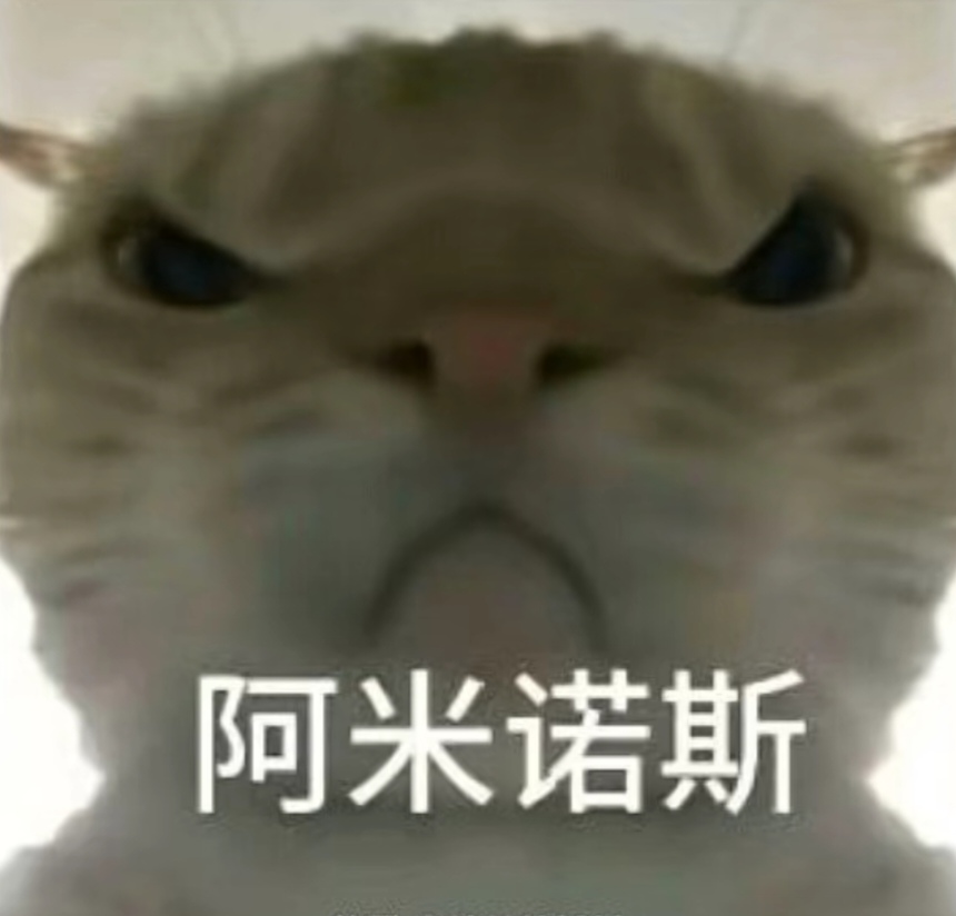 网易红彩通